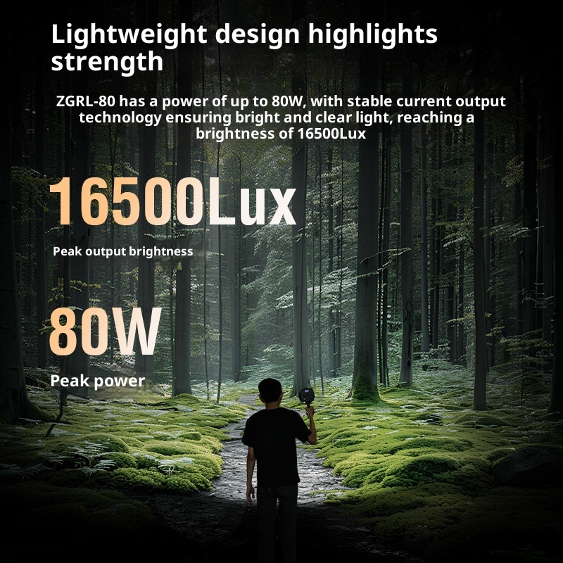 ZGRL80 80W COB LED Video Light - Outdoor Lighting For Photography ulasan dan harga